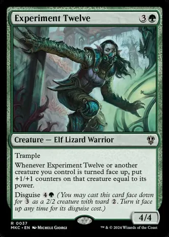 Experiment Twelve · 37