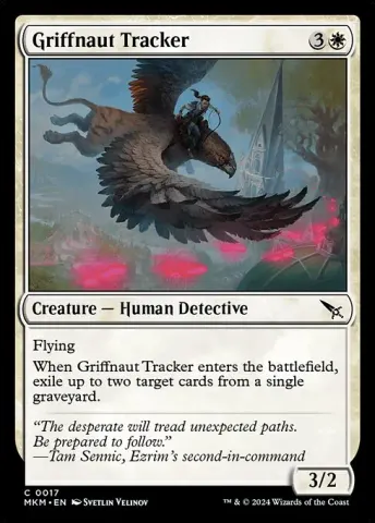 Griffnaut Tracker · 17