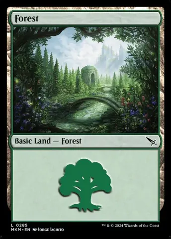 Forest · 285