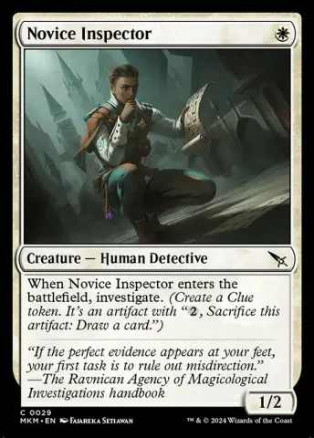 Novice Inspector · 29