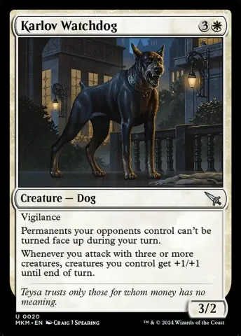 Karlov Watchdog · 20