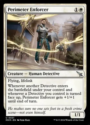 Perimeter Enforcer · 31