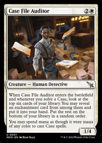 Case File Auditor · 7