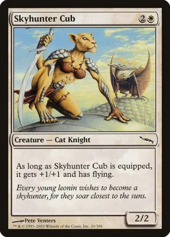 Skyhunter Cub · 21
