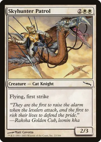 Skyhunter Patrol · 22
