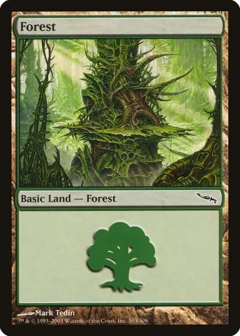 Forest · 303