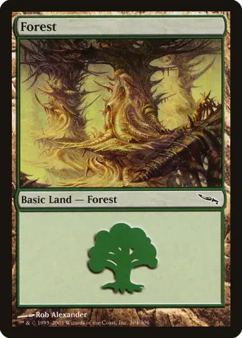 Forest · 304