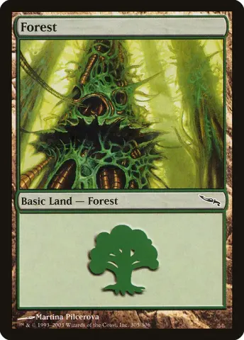 Forest · 305