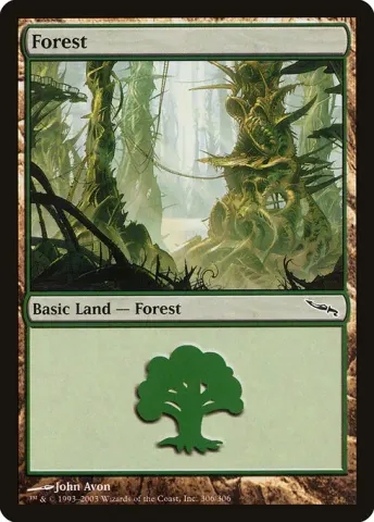 Forest · 306