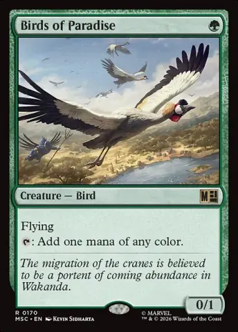 Birds of Paradise · 170