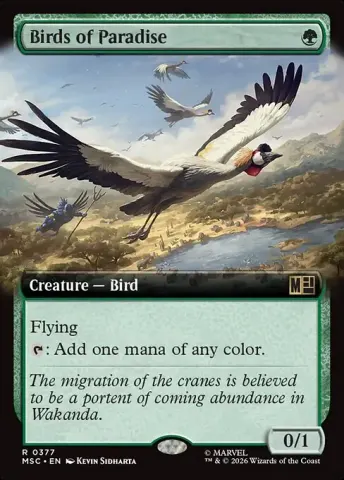 Birds of Paradise · 377