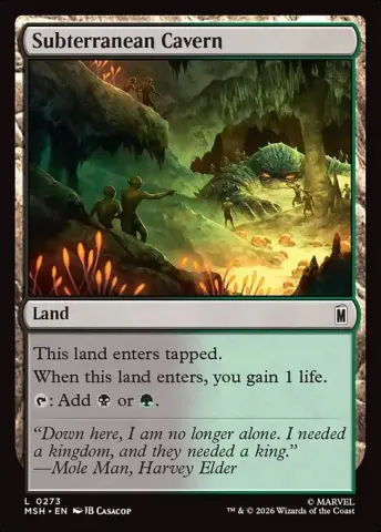 Subterranean Cavern · 273