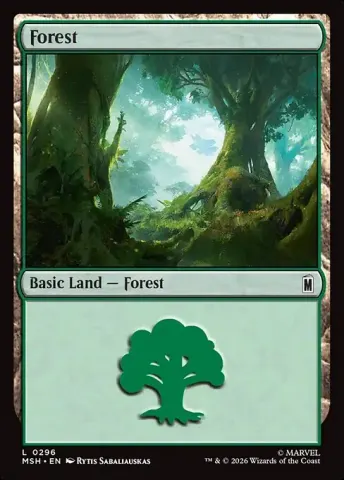 Forest · 296