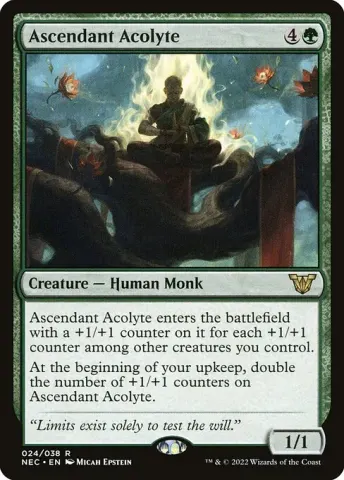 Ascendant Acolyte · 24