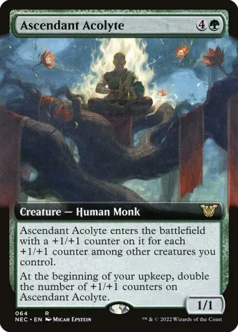 Ascendant Acolyte · 64
