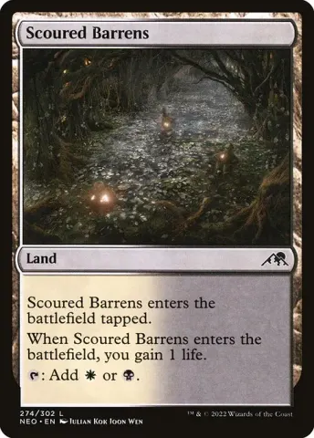 Scoured Barrens · 274