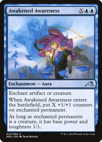 Awakened Awareness · 47