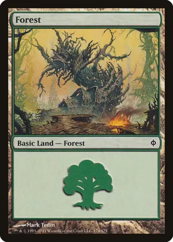 Forest · 174