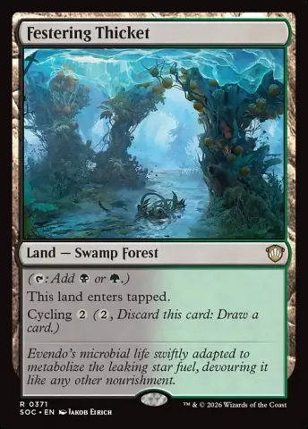 Festering Thicket · 371