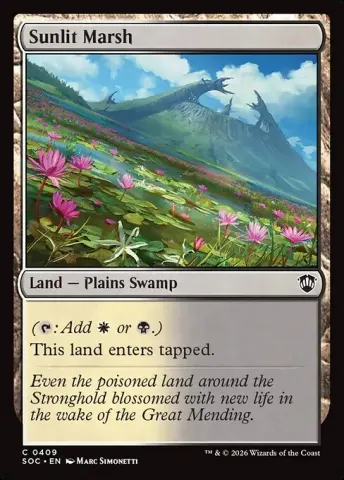 Sunlit Marsh · 409