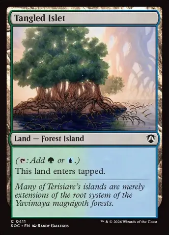 Tangled Islet · 411
