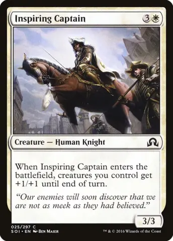 Inspiring Captain · 25