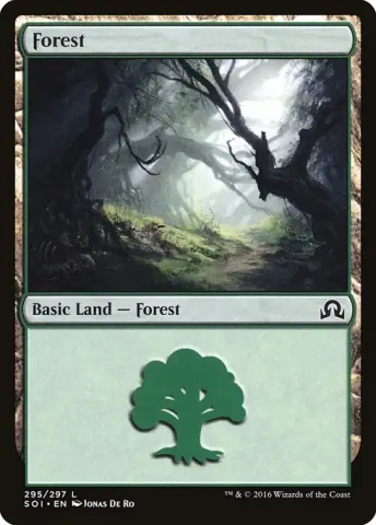 Forest · 295