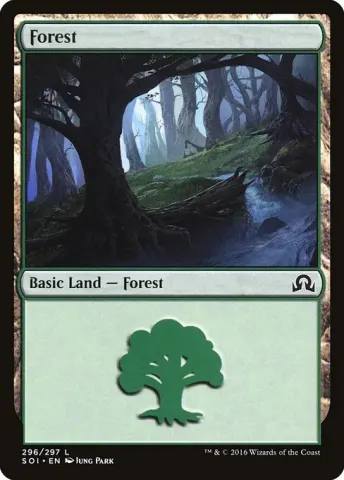 Forest · 296