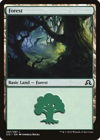 Forest · 297