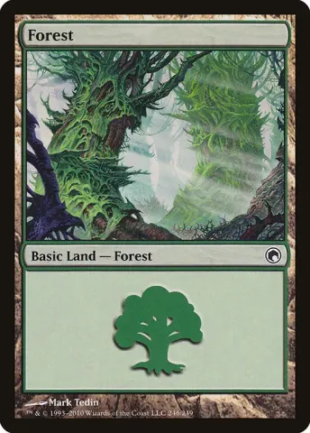 Forest · 246