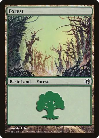 Forest · 247