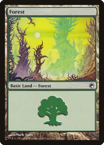 Forest · 248