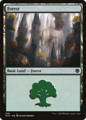 Forest · 349