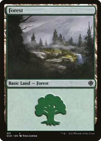 Forest · 351