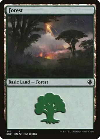 Forest · 352