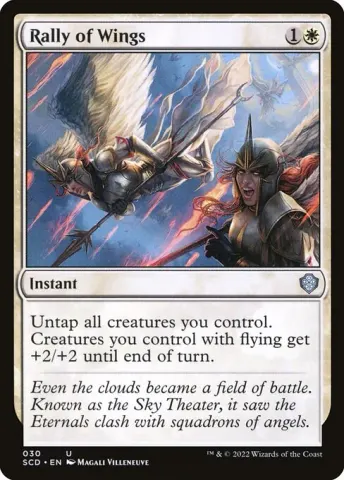 Rally of Wings · 30