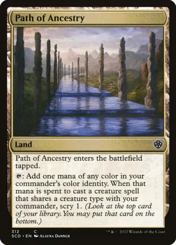 Path of Ancestry · 312