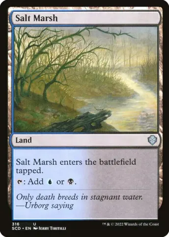 Salt Marsh · 316