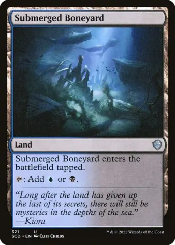 Submerged Boneyard · 321