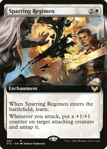 Sparring Regimen · 293
