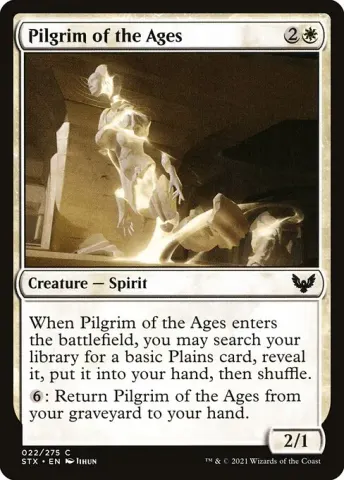 Pilgrim of the Ages · 22