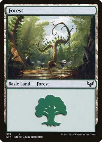 Forest · 374