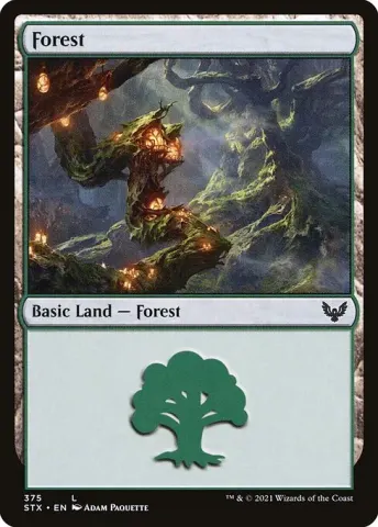 Forest · 375