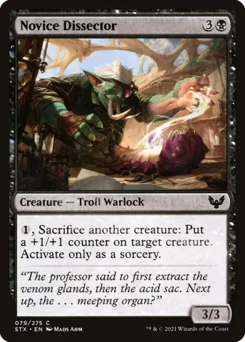 Novice Dissector · 79