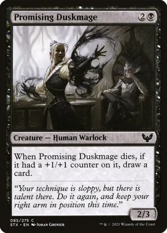 Promising Duskmage · 85