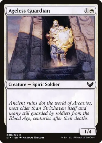 Ageless Guardian · 8