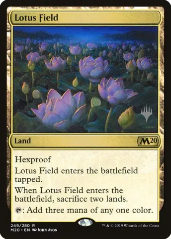 Lotus Field · 249p
