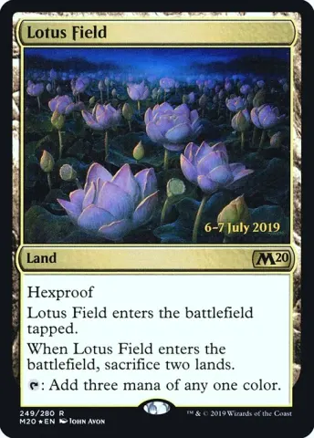 Lotus Field · 249s