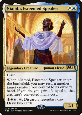 Niambi, Esteemed Speaker · 222p