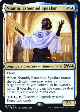 Niambi, Esteemed Speaker · 222s